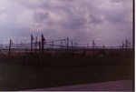 Open-wire transmission lines.